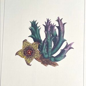 🌹 free w/purchase Vintage botanical print